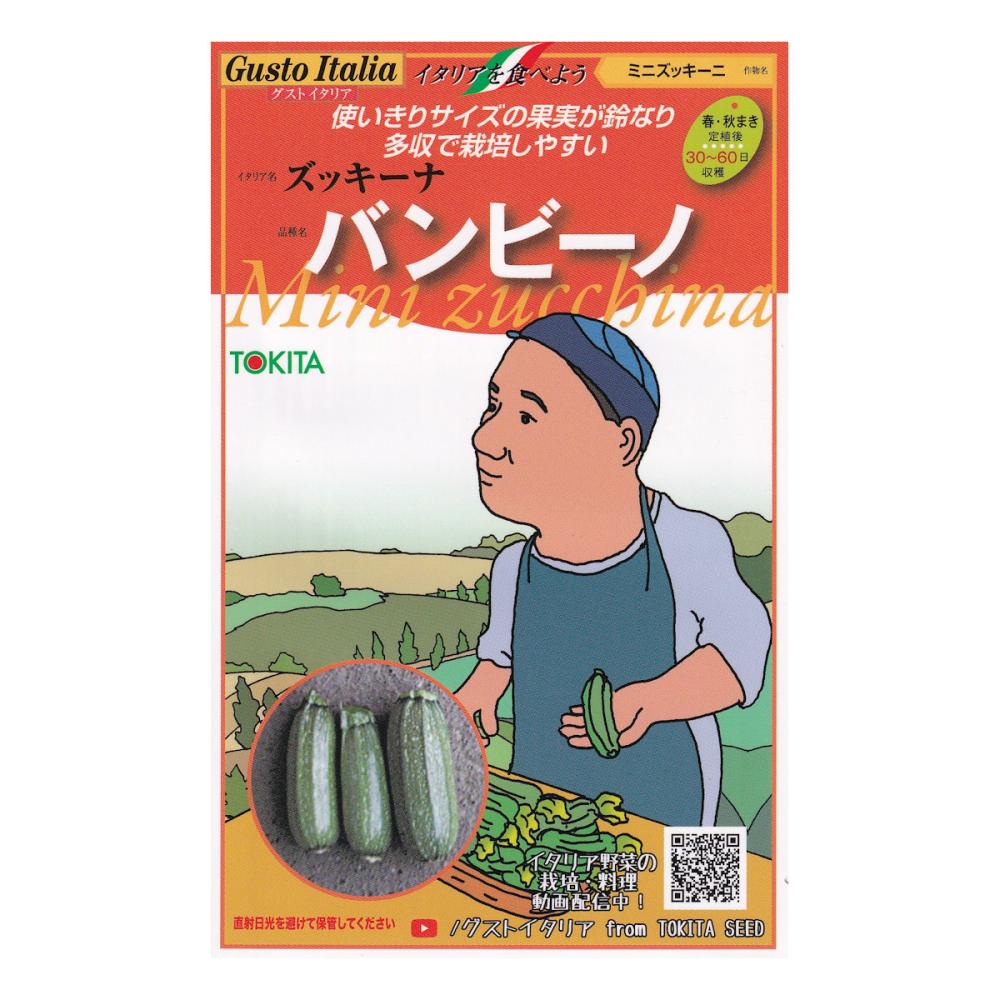 【宅配専用】　葉菜種子　バンビーノ
