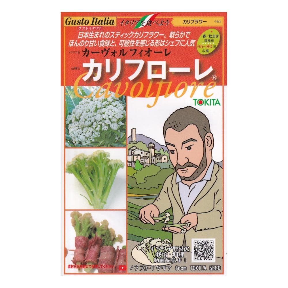 【宅配専用】　葉菜種子　カリフラワー種子　カリフローレ８０