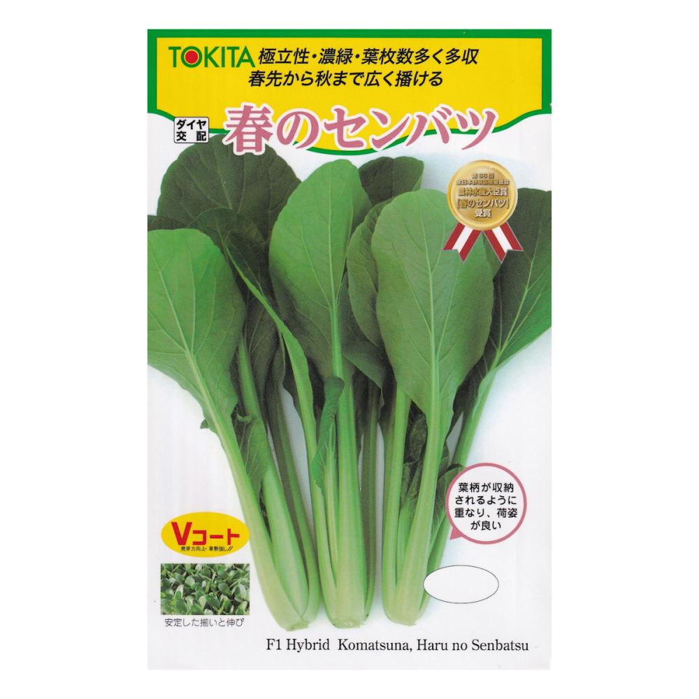 【宅配専用】　葉菜種子　春のセンバツ