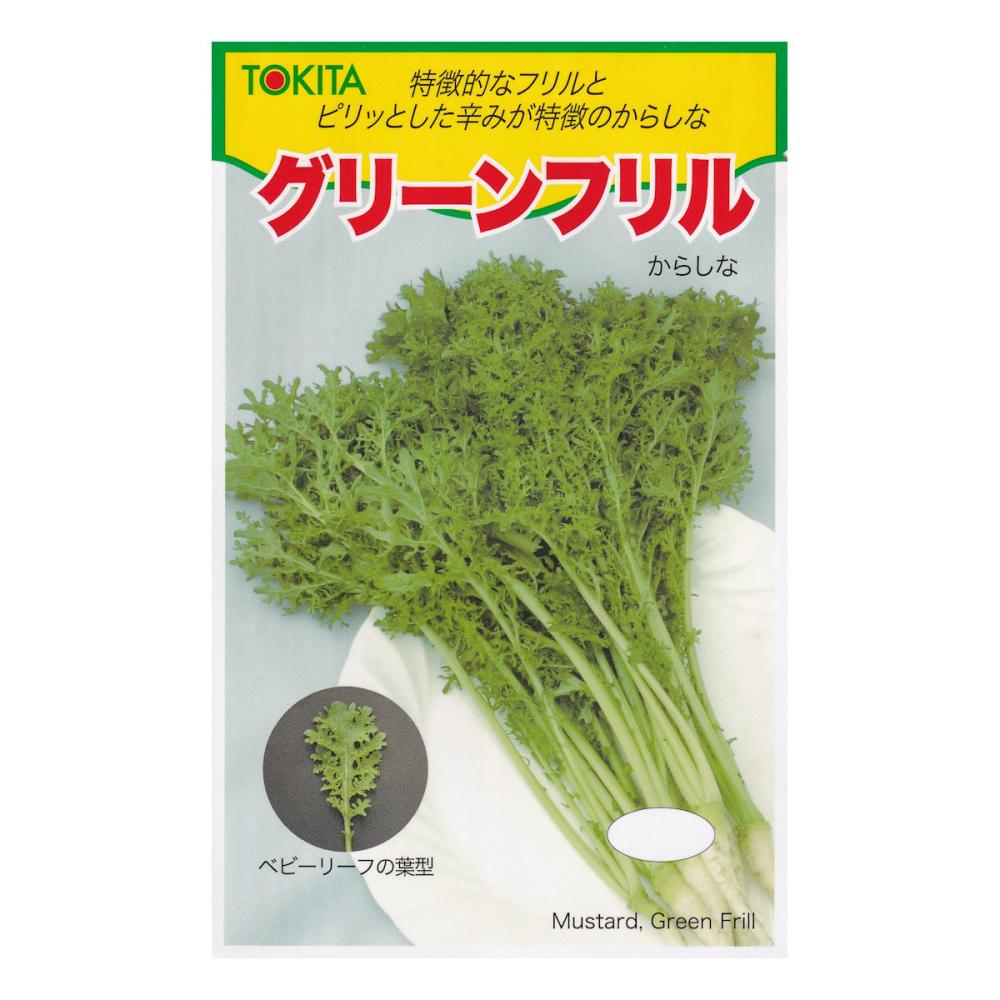 【宅配専用】　葉菜種子　グリーンフリル