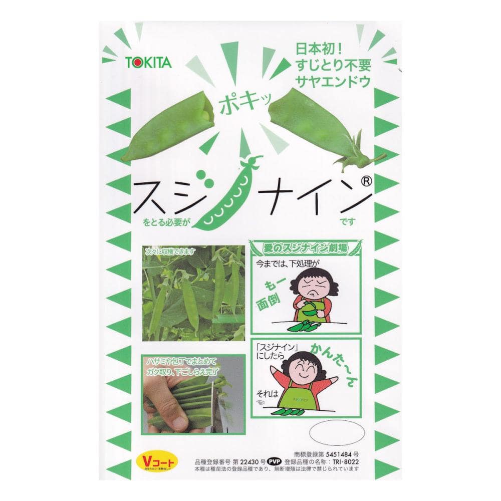 【宅配専用】　豆類種子　エンドウ種子　スジナイン
