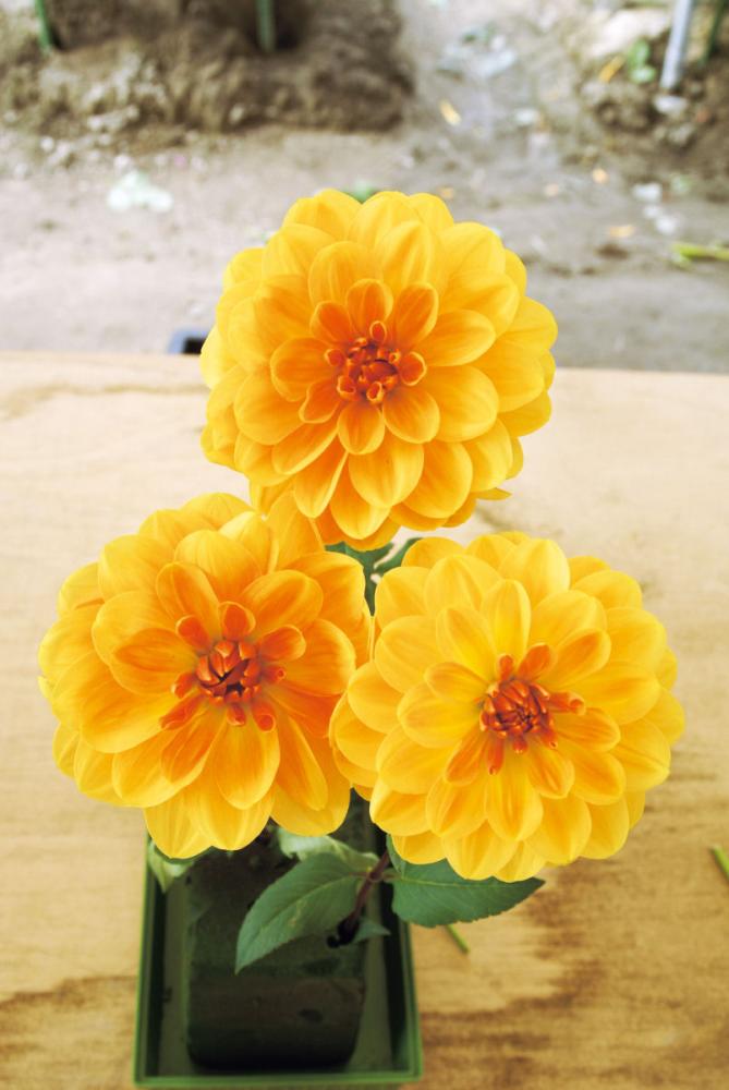 小舟（こぶね）