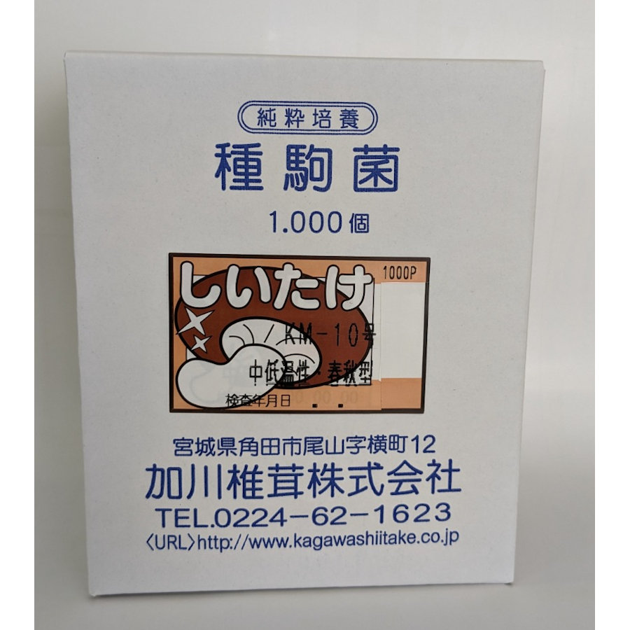 【キノコ予約】　椎茸種駒　ＫＭ－１０号　中低温性・春秋型　１０００Ｐ　【申込期限：２月２２日】