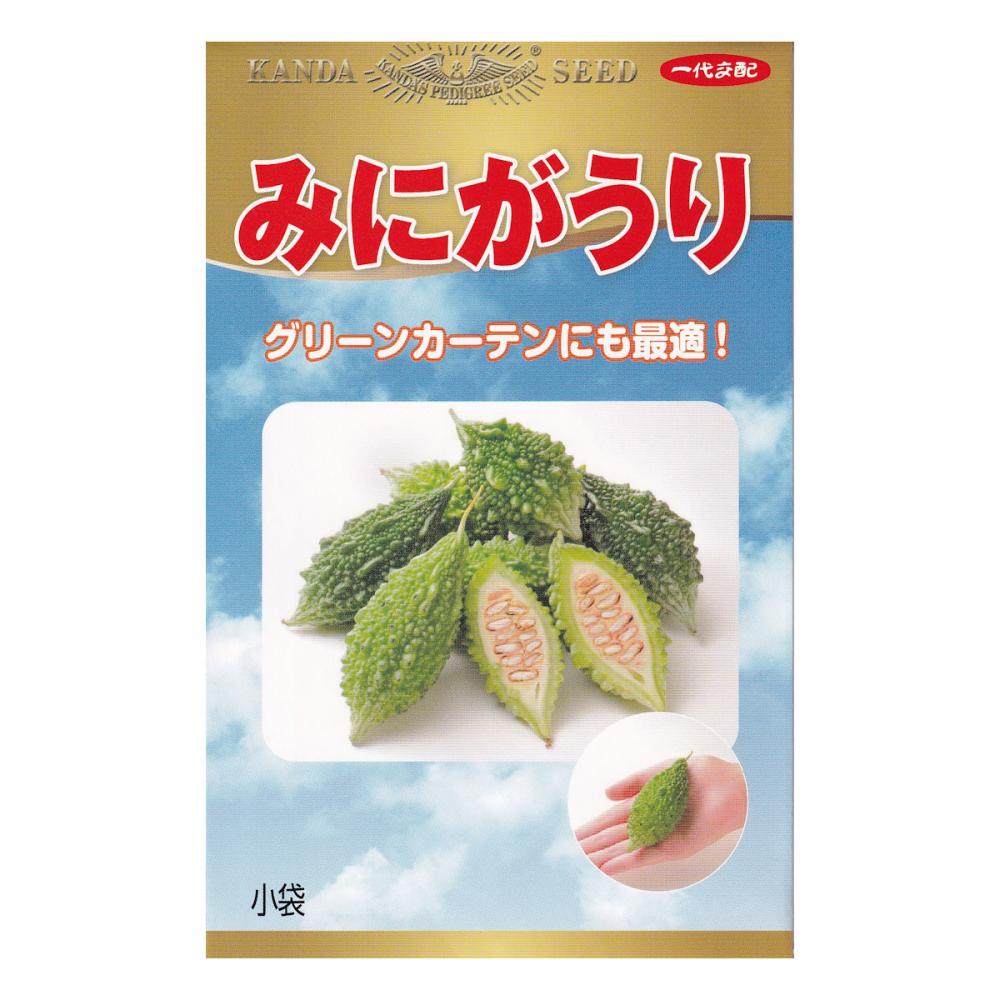 【宅配専用】　ゴーヤ種子　みにがうり
