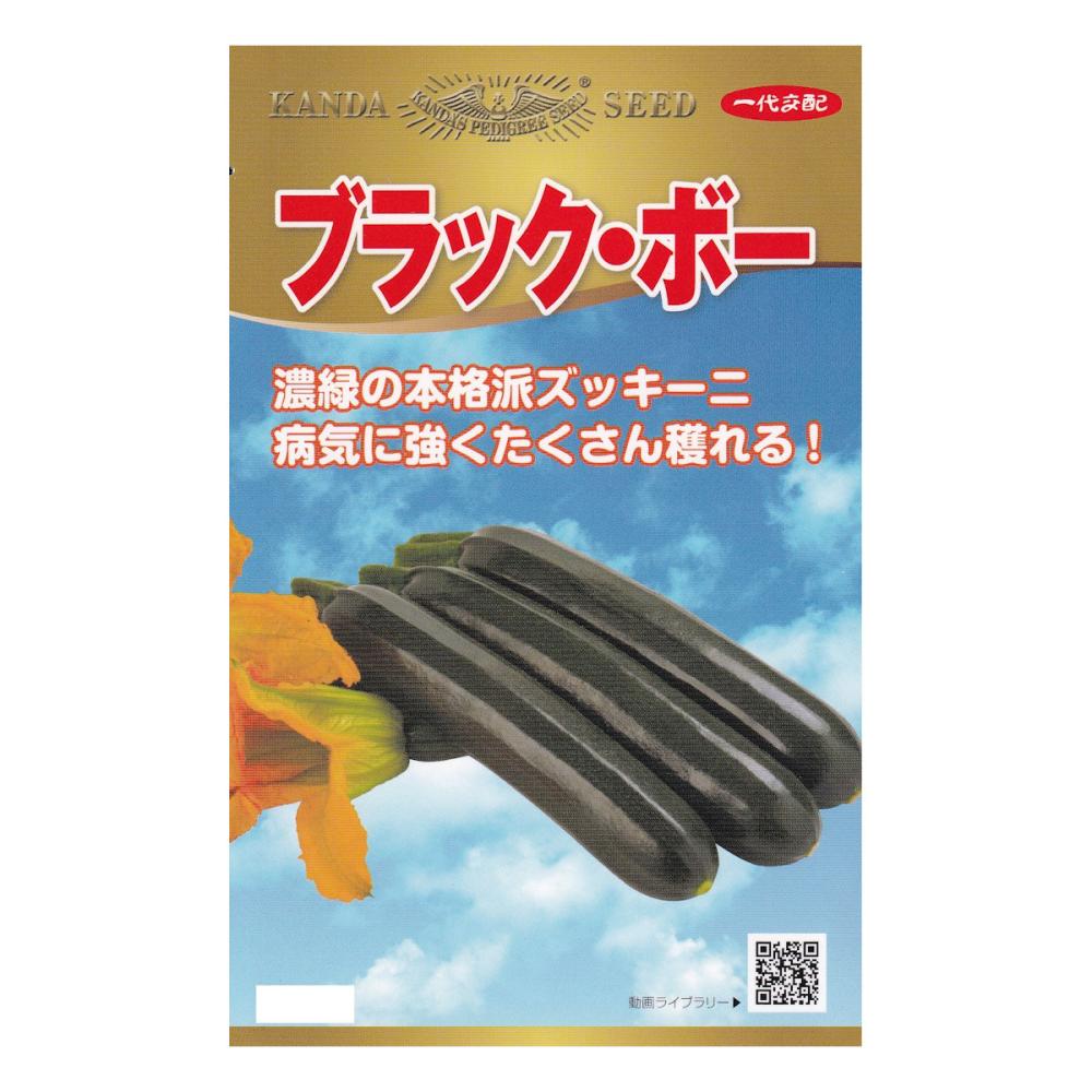 【宅配専用】　ズッキーニ種子　ブラック・ボー