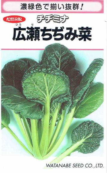 【宅配専用】　葉菜種子　広瀬ちぢみ菜