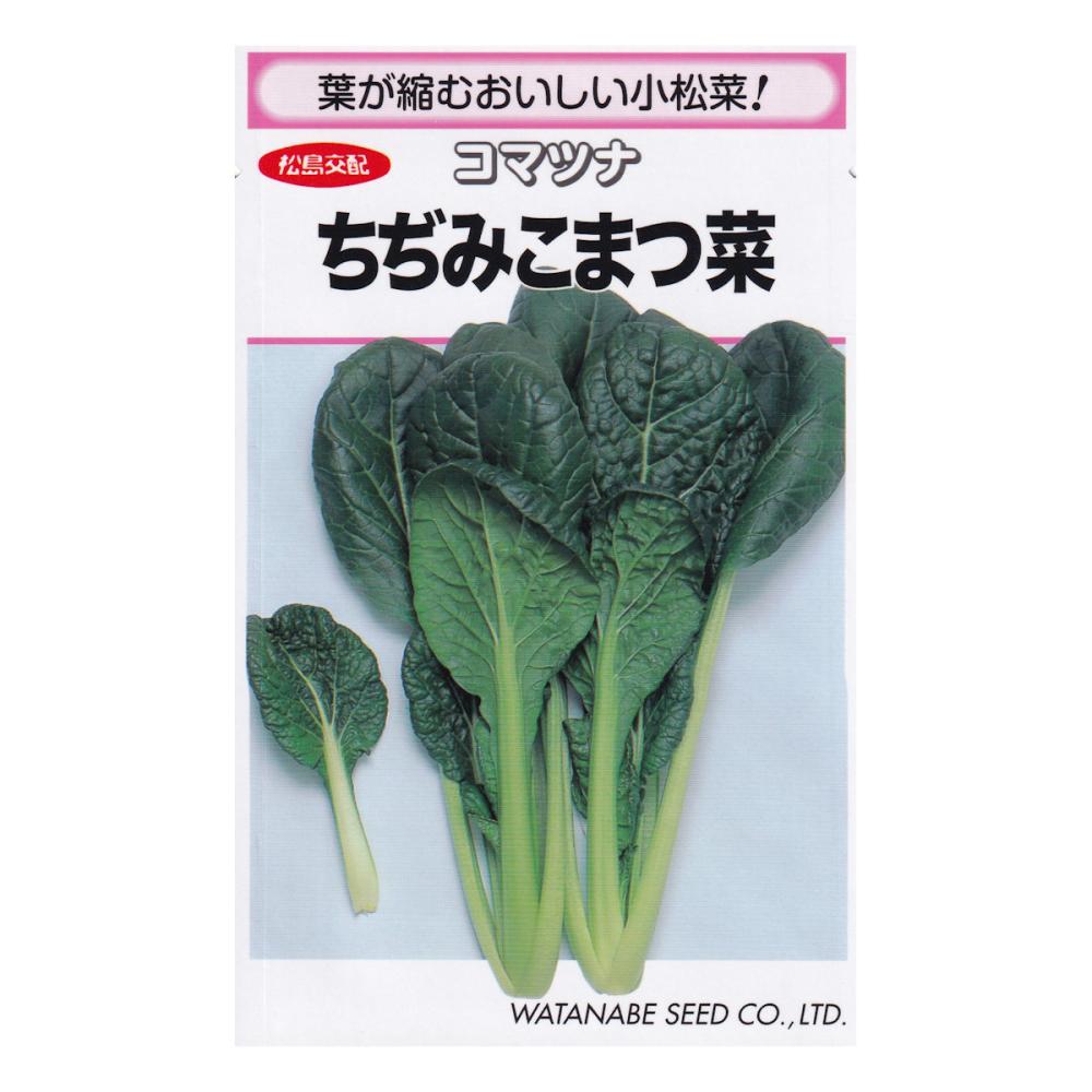 【宅配専用】　葉菜種子　ちぢみ小松菜