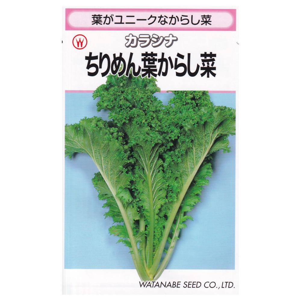 【宅配専用】　葉菜種子　ちりめん葉からし菜