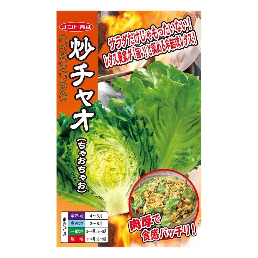 【宅配専用】　葉菜種子　半結球レタス　炒チャオ