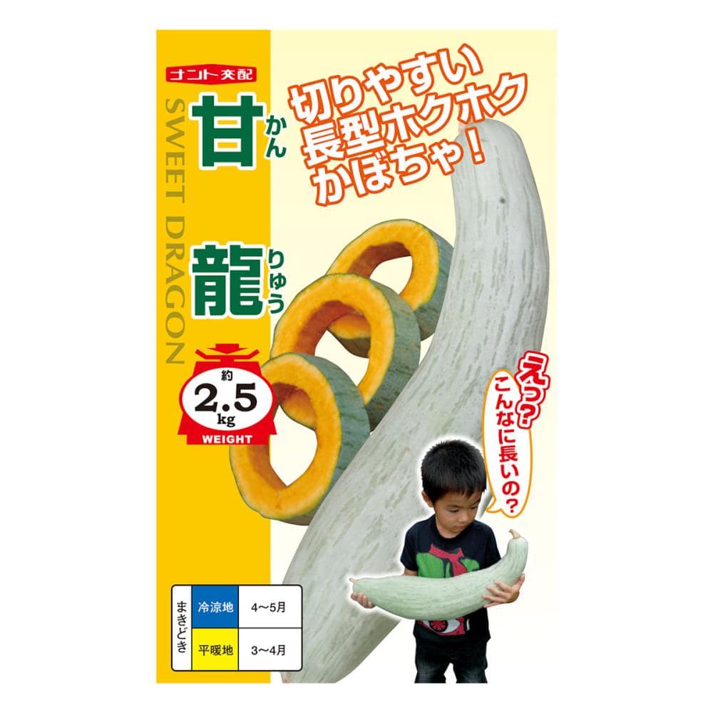 【宅配専用】　カボチャ種子　甘龍