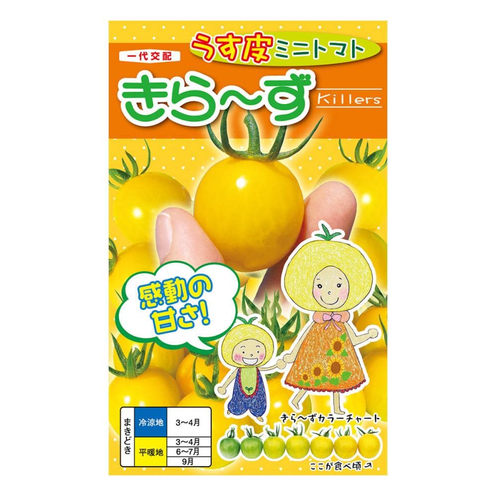 【宅配専用】　ミニトマト種子　きら～ず