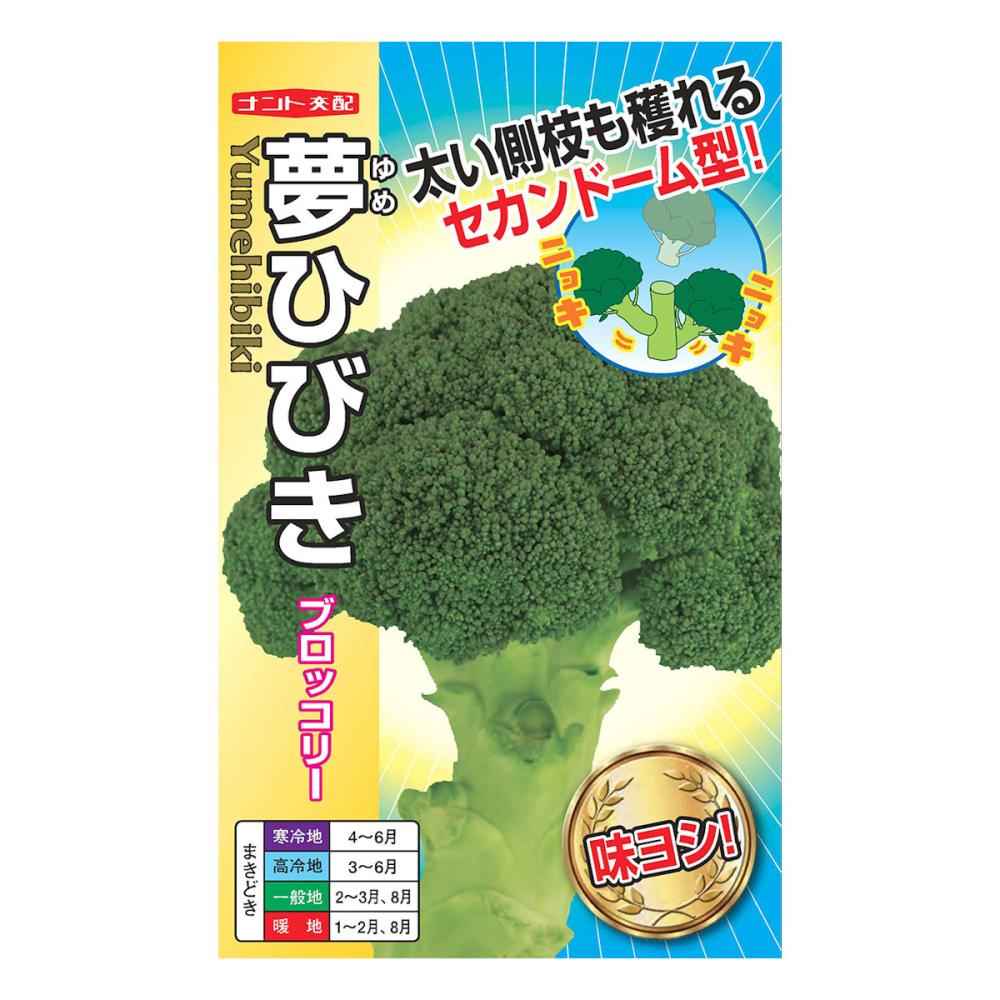 【宅配専用】　葉菜種子　ブロッコリー　夢ひびき