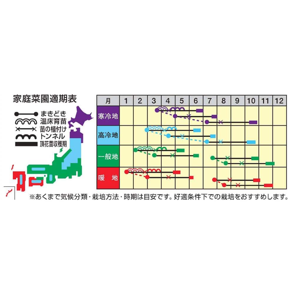 【宅配専用】　葉菜種子　ブロッコリー　夢ひびき