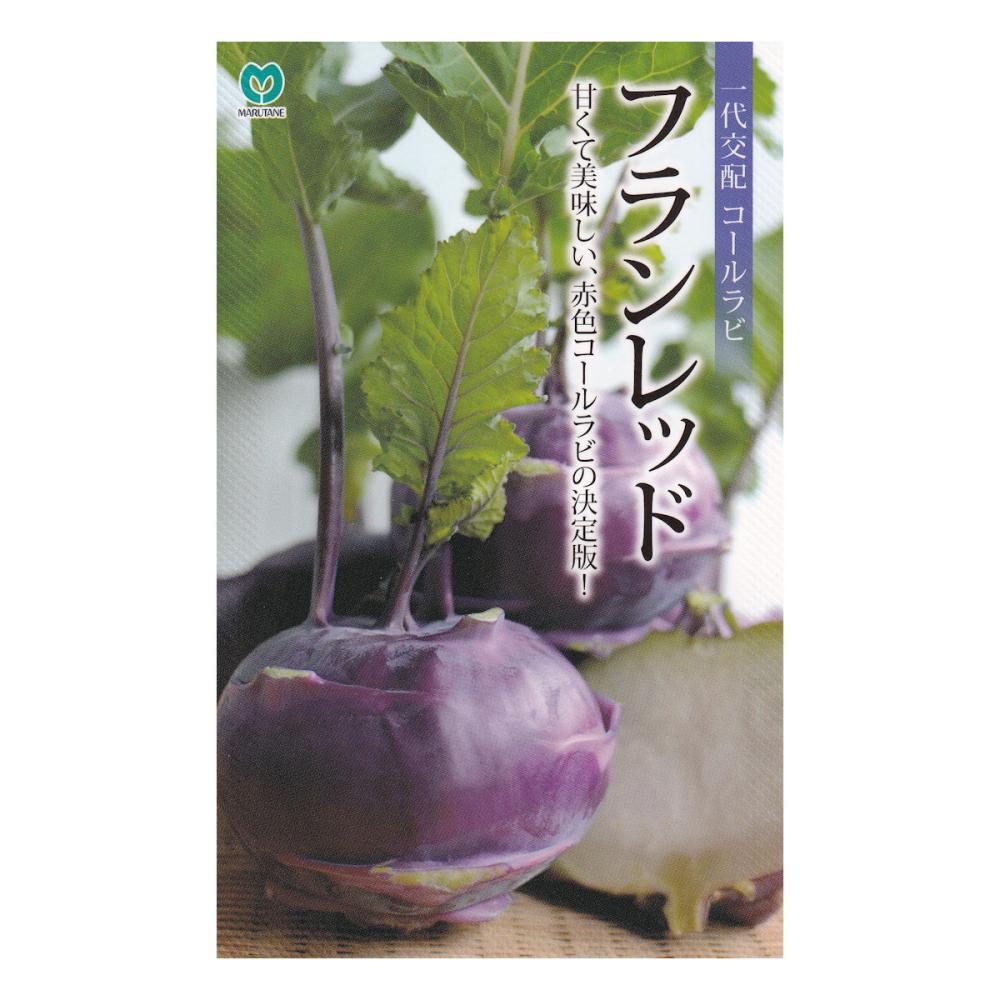 【宅配専用】　葉菜種子　コールラビフランレッド