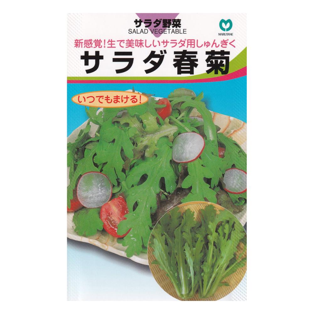 【宅配専用】　葉菜種子　サラダ春菊