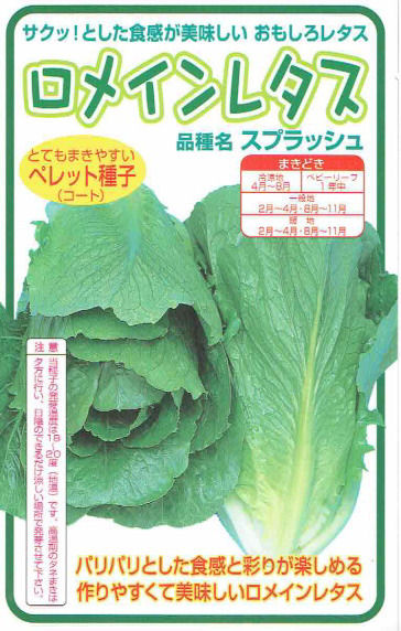 【宅配専用】　葉菜種子　レタス　スプラッシュ
