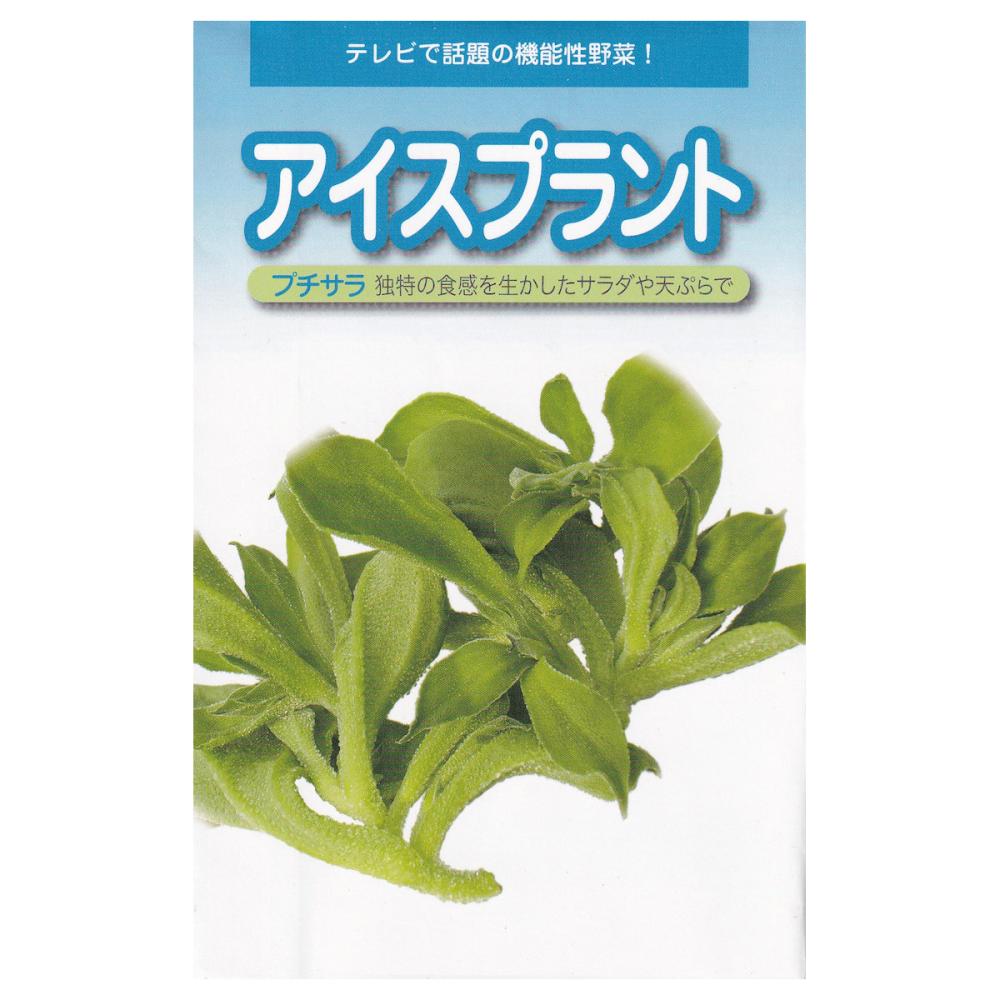 【宅配専用】　葉菜種子　アイスプラント