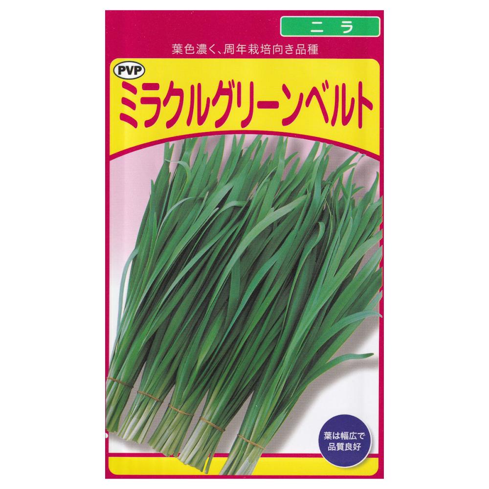 【宅配専用】　葉菜種子　ニラ　ミラクルグリーンベルト