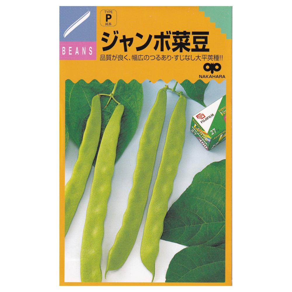 【宅配専用】　ジャンボ菜豆