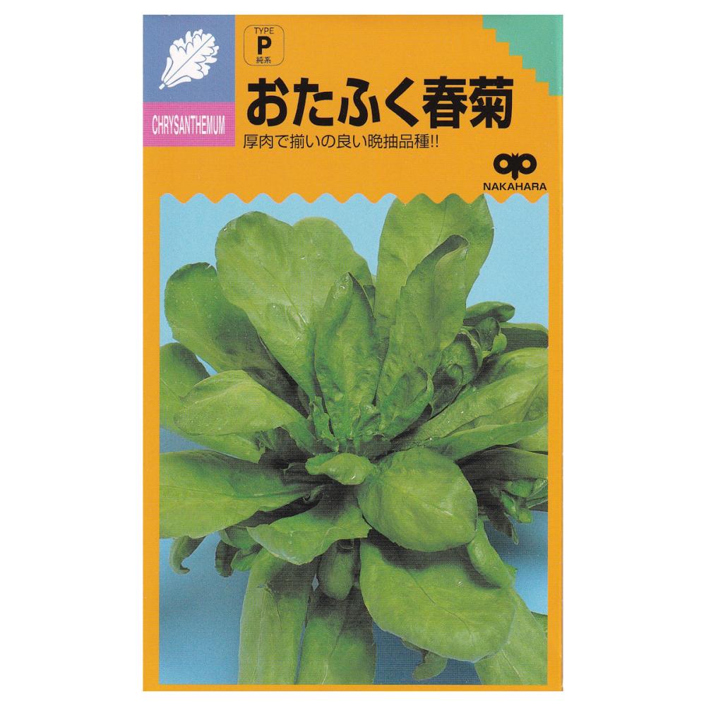 【宅配専用】　葉菜種子　おたふく春菊