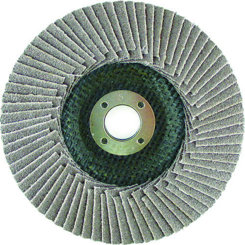 ＨｉＫＯＫＩ（旧日立工機）　多羽根ディスク１００Ｘ１５ｍｍＡ６０＿