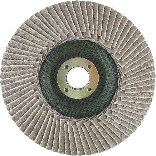ＨｉＫＯＫＩ（旧日立工機）　多羽根ディスク１００Ｘ１５ｍｍＡ１００＿