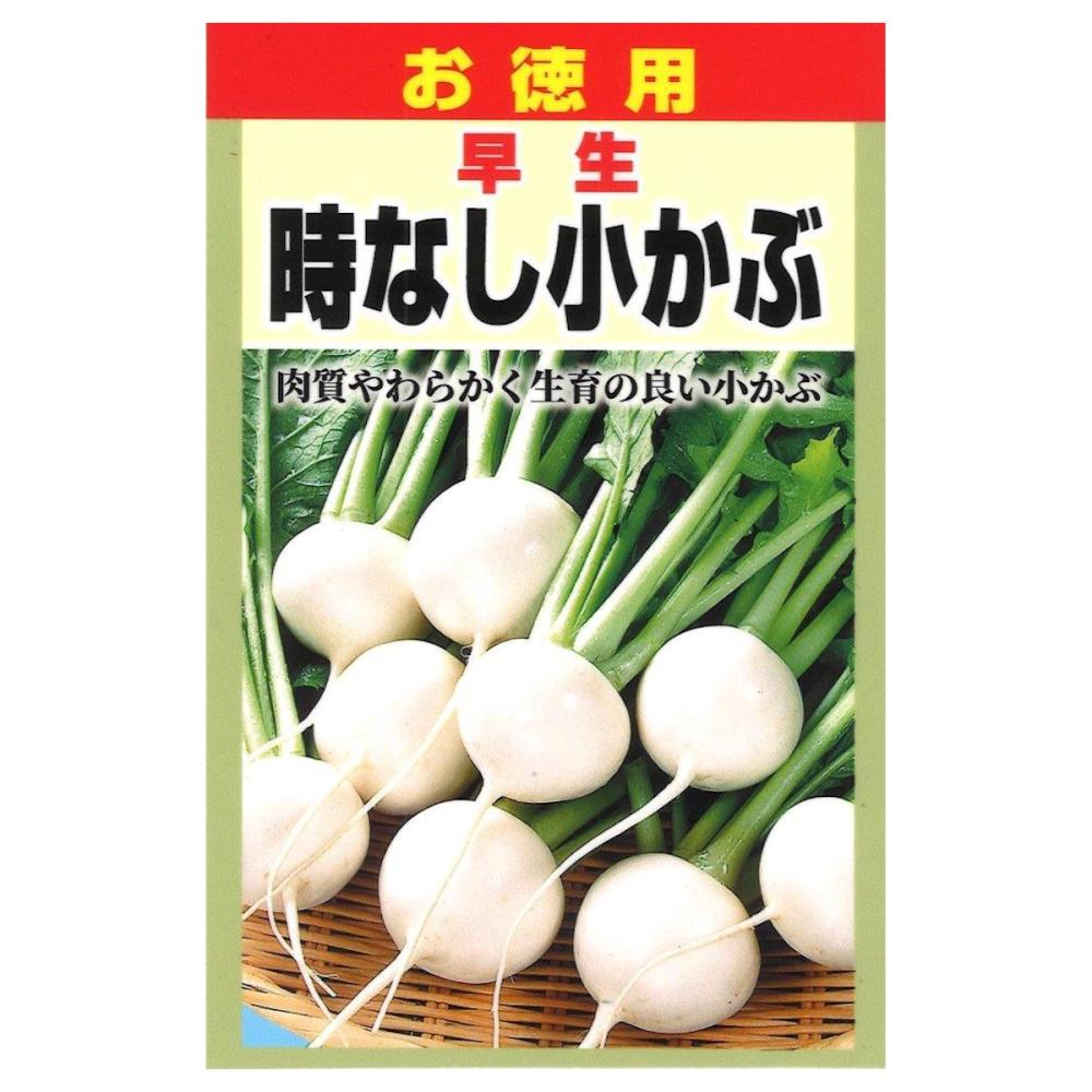 ＳＢ　時なし小かぶ　お徳用