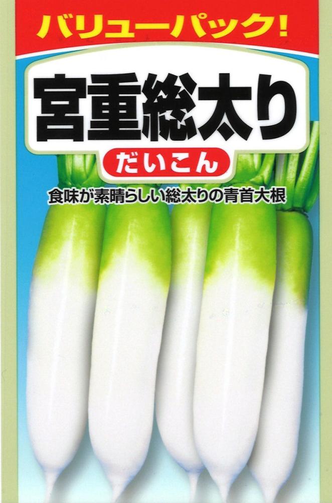 ＳＢ　宮重総太り大根　お徳用