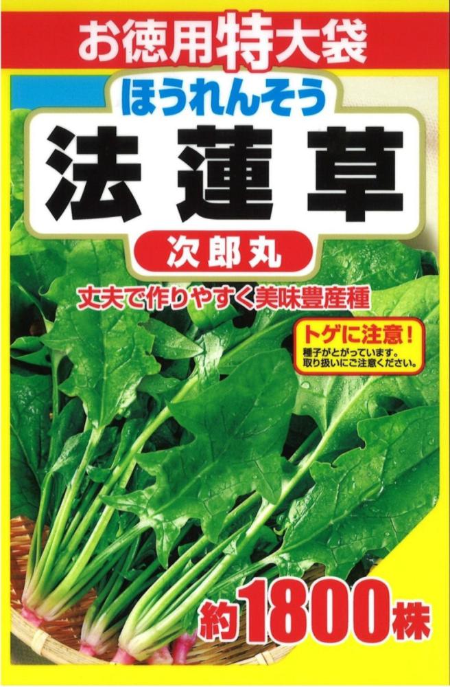 ＳＢ　徳用特大次郎丸ほうれん草