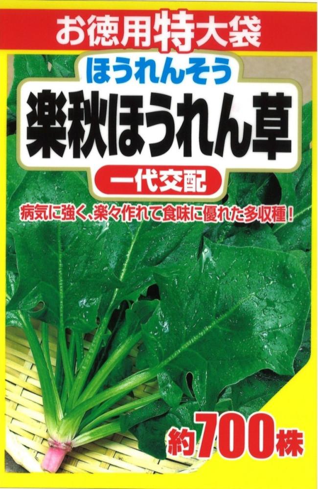 ＳＢ　徳用特大楽秋ほうれん草