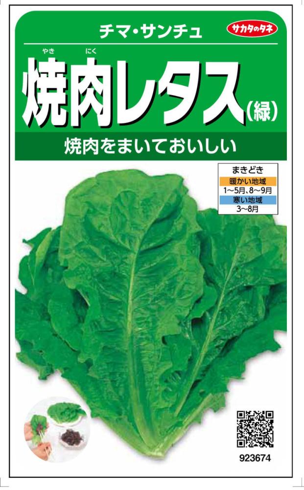 焼肉レタス（緑）　チマ・サンチュ