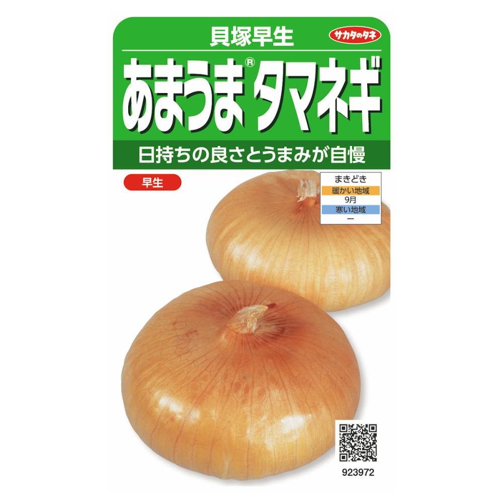 あまうまタマネギ　貝塚早生