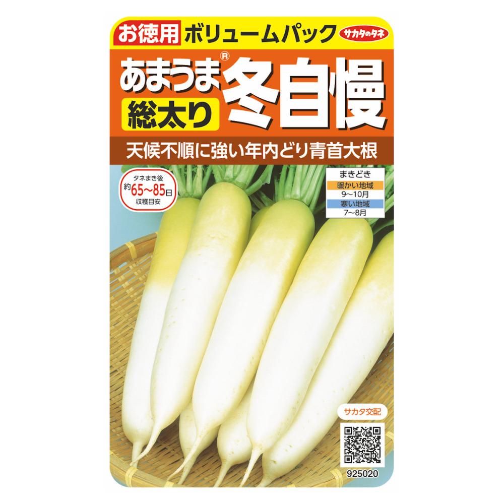 冬どりあまうま大根　冬自慢　【徳用袋】