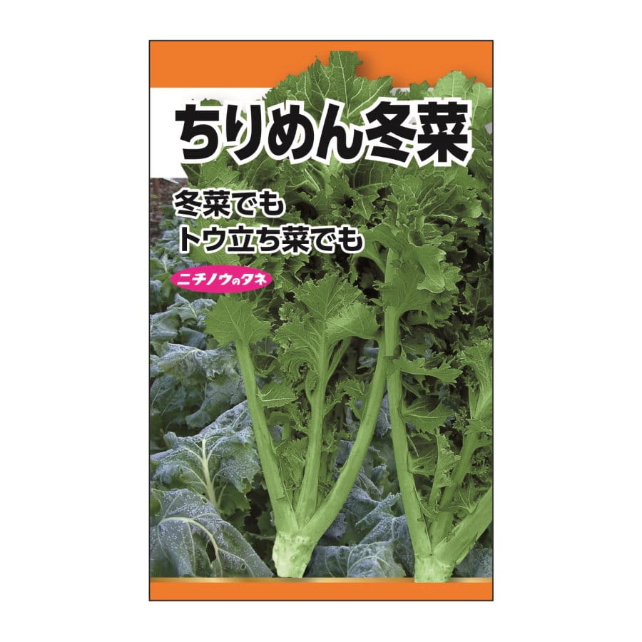 ニチノウのタネ ちりめん冬菜