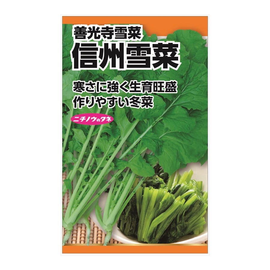 ニチノウのタネ 信州雪菜(善光寺雪菜)