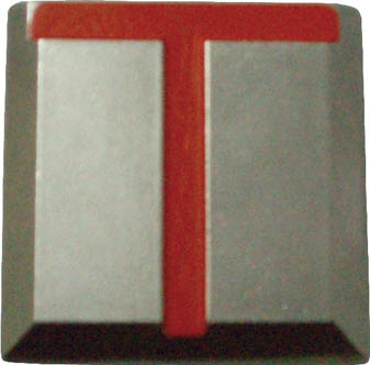 ＴＲＵＳＣＯ　クリアーライン　貼付式　５枚入＿