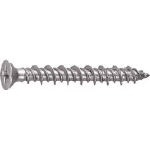 TRUSCO Pレスアンカー サラ頭 スチール 6X70 6本入_