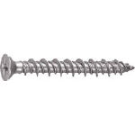 TRUSCO Pレスアンカー サラ頭 スチール 6X100 3本入_