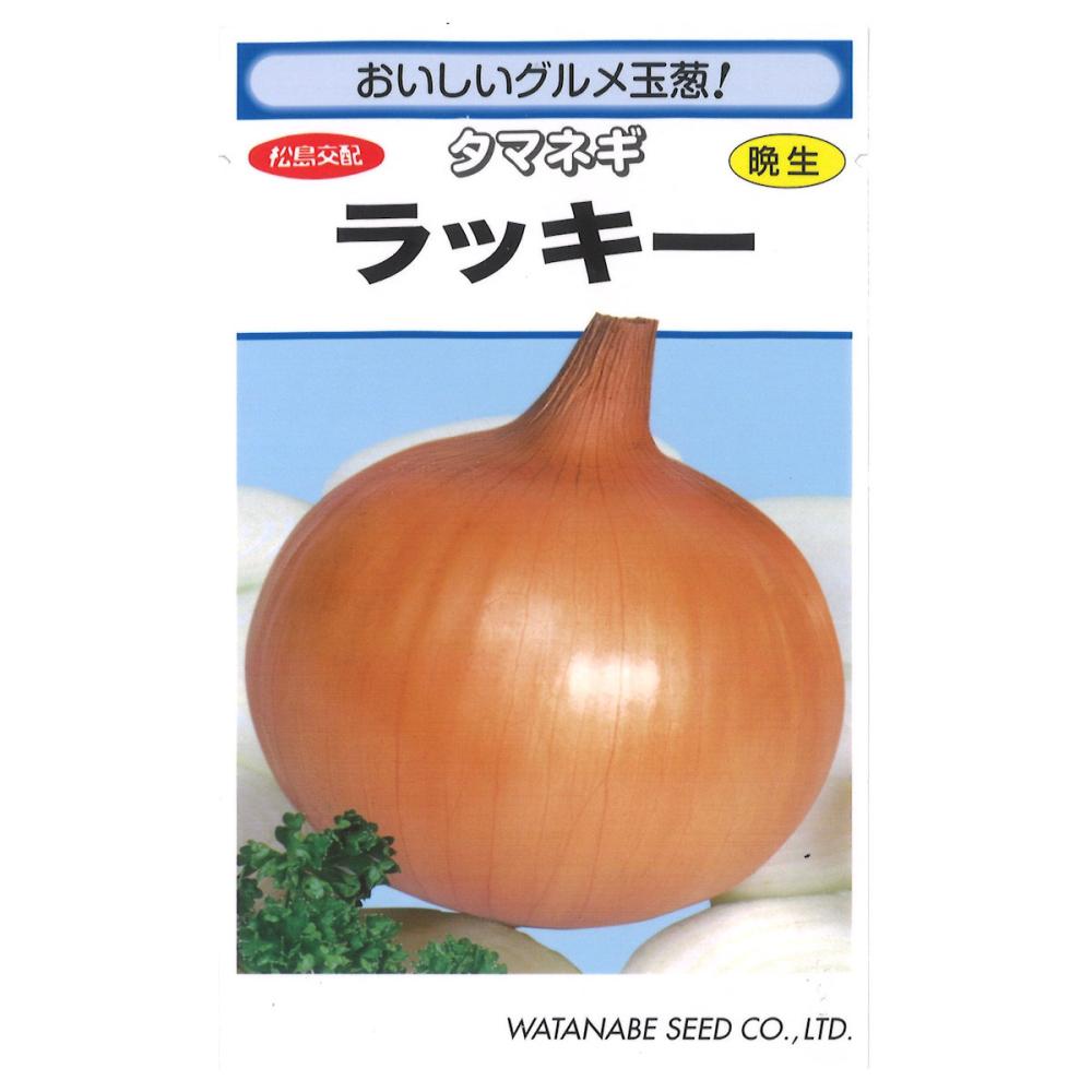 ラッキー玉葱