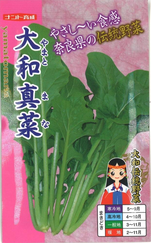 大和真菜