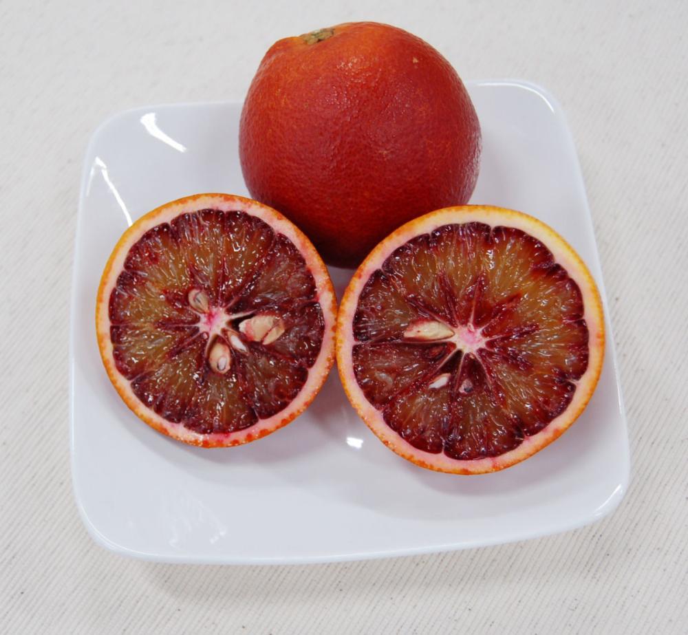 ご了承下さいませ愛媛県産　ブラッドオレンジ　モロ　柑橘　10kg