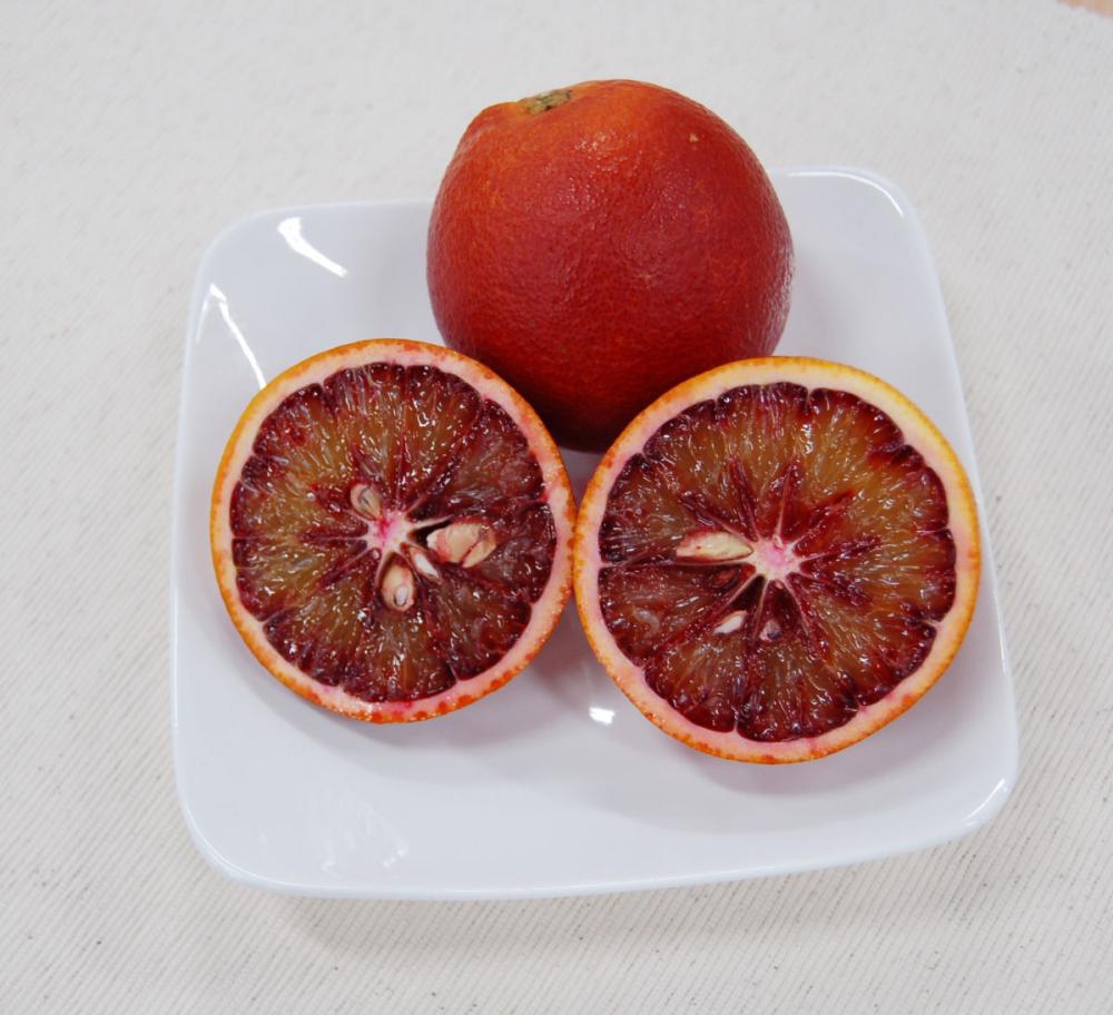 【愛媛県愛南町産】ブラッドオレンジ（モロ）　約５㎏【注文期限：３月２５日】