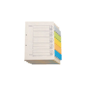 キングジム カラ-インデックスA4-S (100組入)_