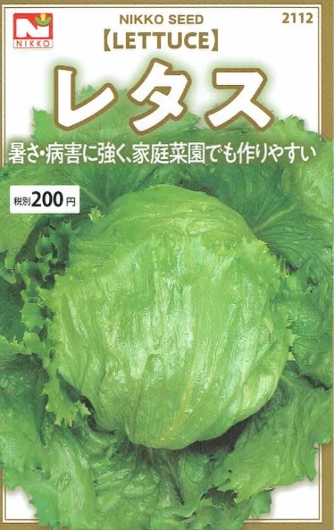 【宅配専用】　葉菜種子　レタス種子　レタス