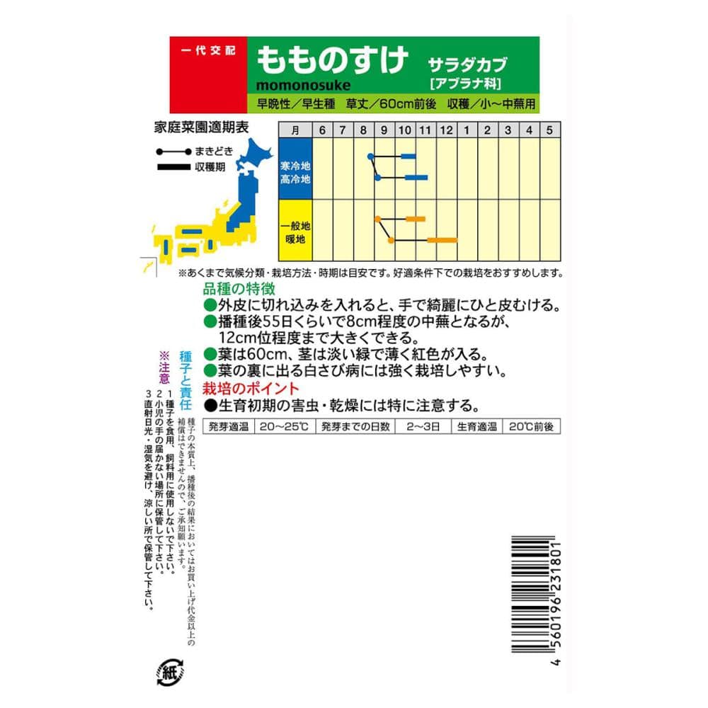 【宅配専用】　根菜種子　カブ　もものすけ