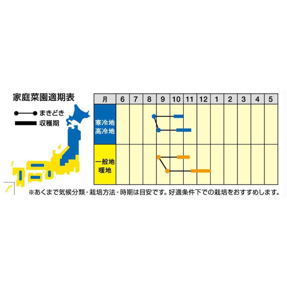 【宅配専用】　根菜種子　カブ　もものすけ