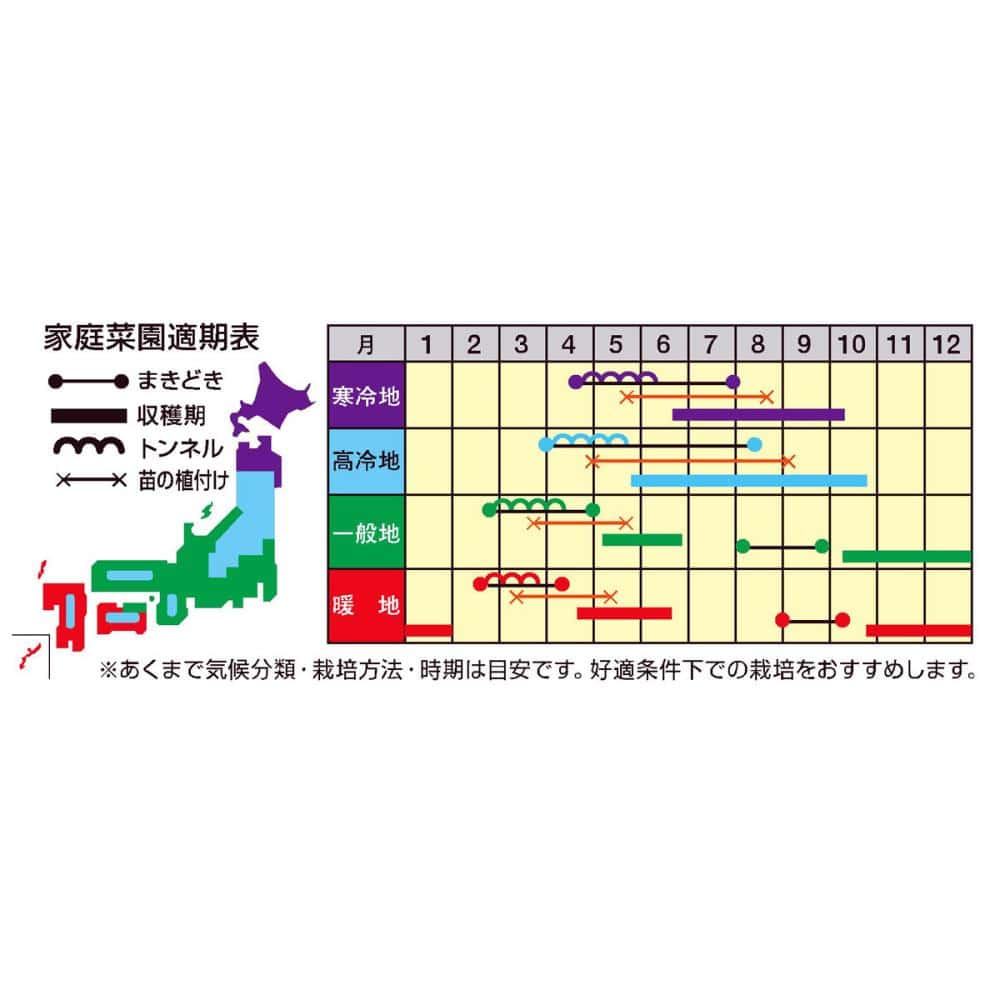 【宅配専用】　葉菜種子　白菜　めだか