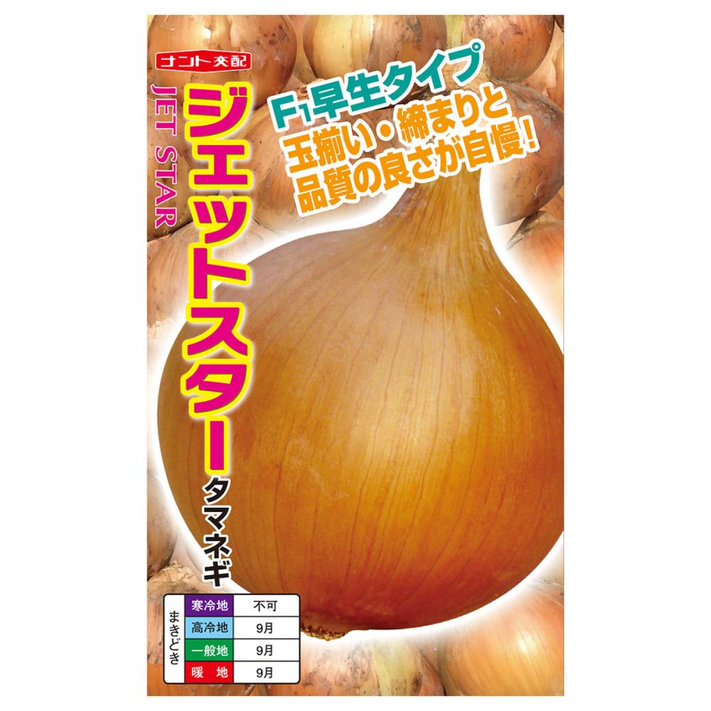 【宅配専用】　根菜種子　タマネギ　ジェットスター