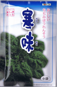 【宅配専用】　葉菜種子　寒味　ホウレンソウ