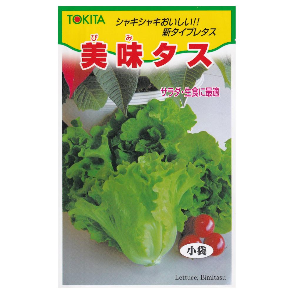 【宅配専用】　葉菜種子　レタス種子　美味タス